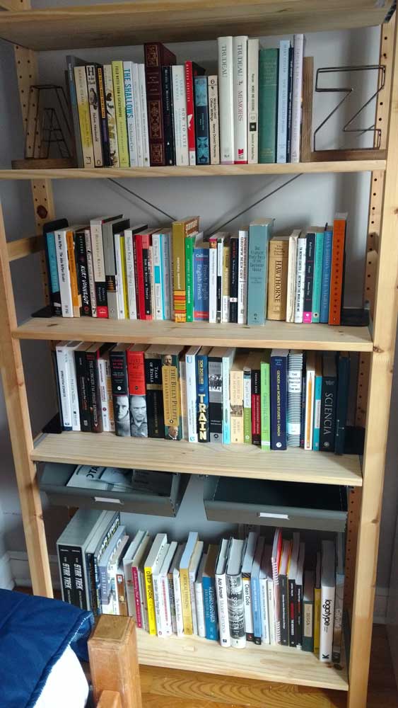 Those same books filling a stack of bookshelves